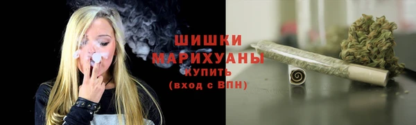 гидра Михайловск
