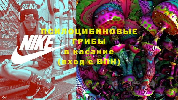 ПСИЛОЦИБИНОВЫЕ ГРИБЫ Навашино
