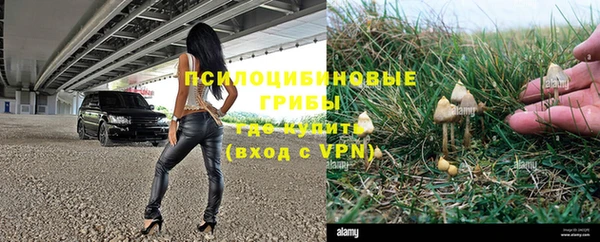 ПСИЛОЦИБИНОВЫЕ ГРИБЫ Навашино